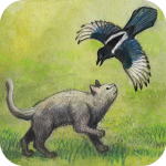 Milo and the Magpies