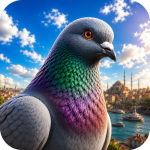 Pigeon Paradise